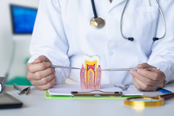 Best After-Hours Dental Trauma Care in Glencoe, FL